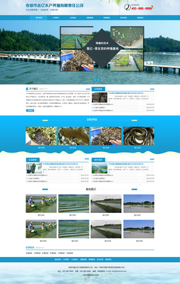 高密正阳网络,中小企业网站建设专家,SEO优化排名,低价格高质量-网站建设推广-商务服务-高密信息港生活信息-生活信息-高密信息港