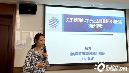 全球能源互联网发展合作组织 气变环境处杨方 我国电力实现碳中和有多种路径
